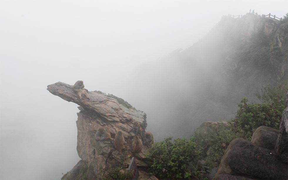 连云港花果山是吴承恩笔下,美猴王孙悟空的老家,港城人民人尽皆知的一