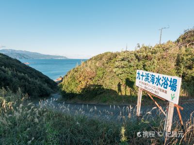 伊豆旅遊攻略 伊豆景點地圖 靜岡縣自由行旅遊指南 Trip Com