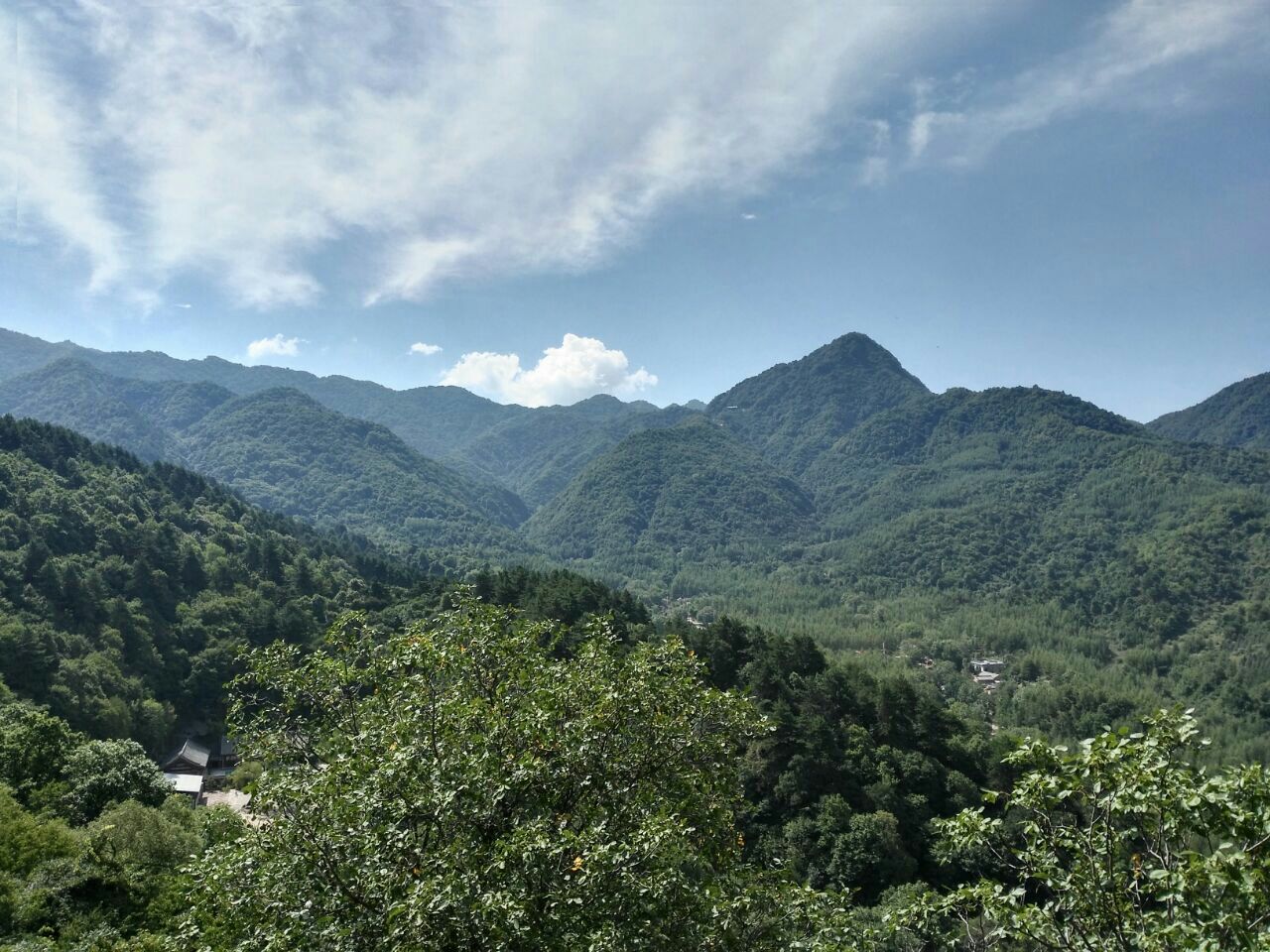 天水麥積山植物園好玩嗎,天水麥積山植物園景點怎麼樣_點評_評價