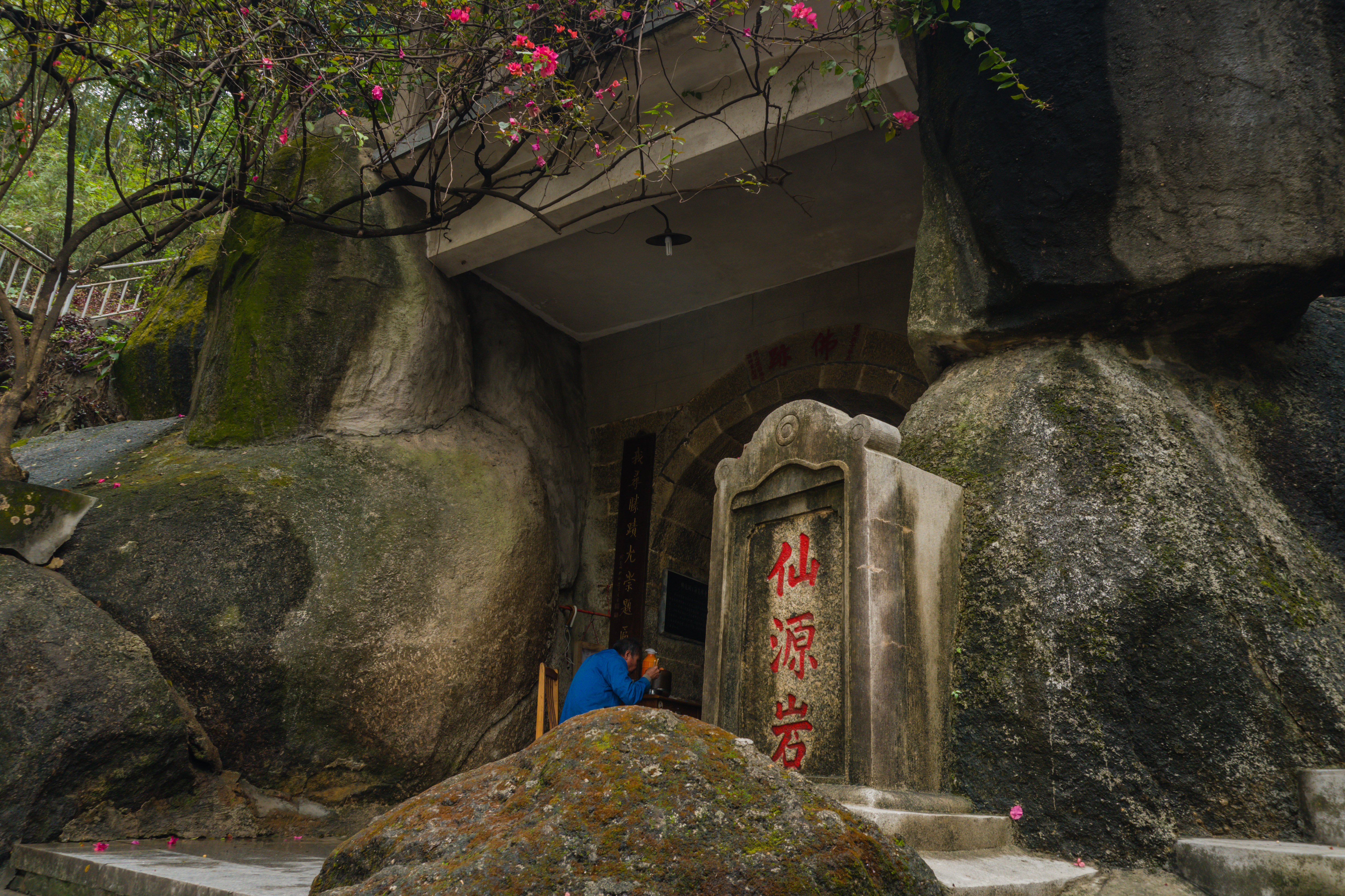 【广州龙头山森林公园摄影图片】风光摄影_jianwen3cn_太平洋电脑网摄影部落