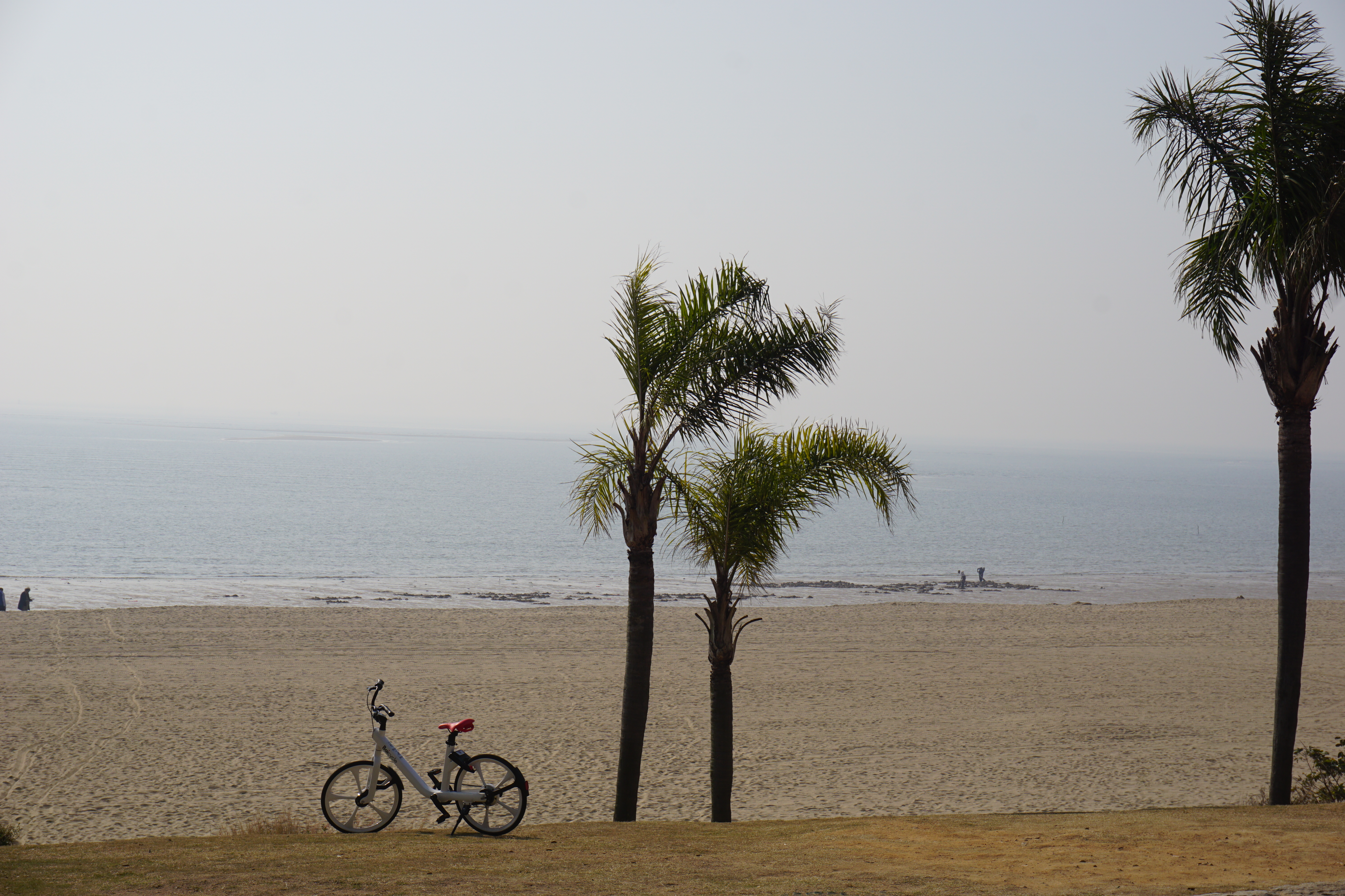长沙-东山岛自驾游攻略《左耳》拍摄基地