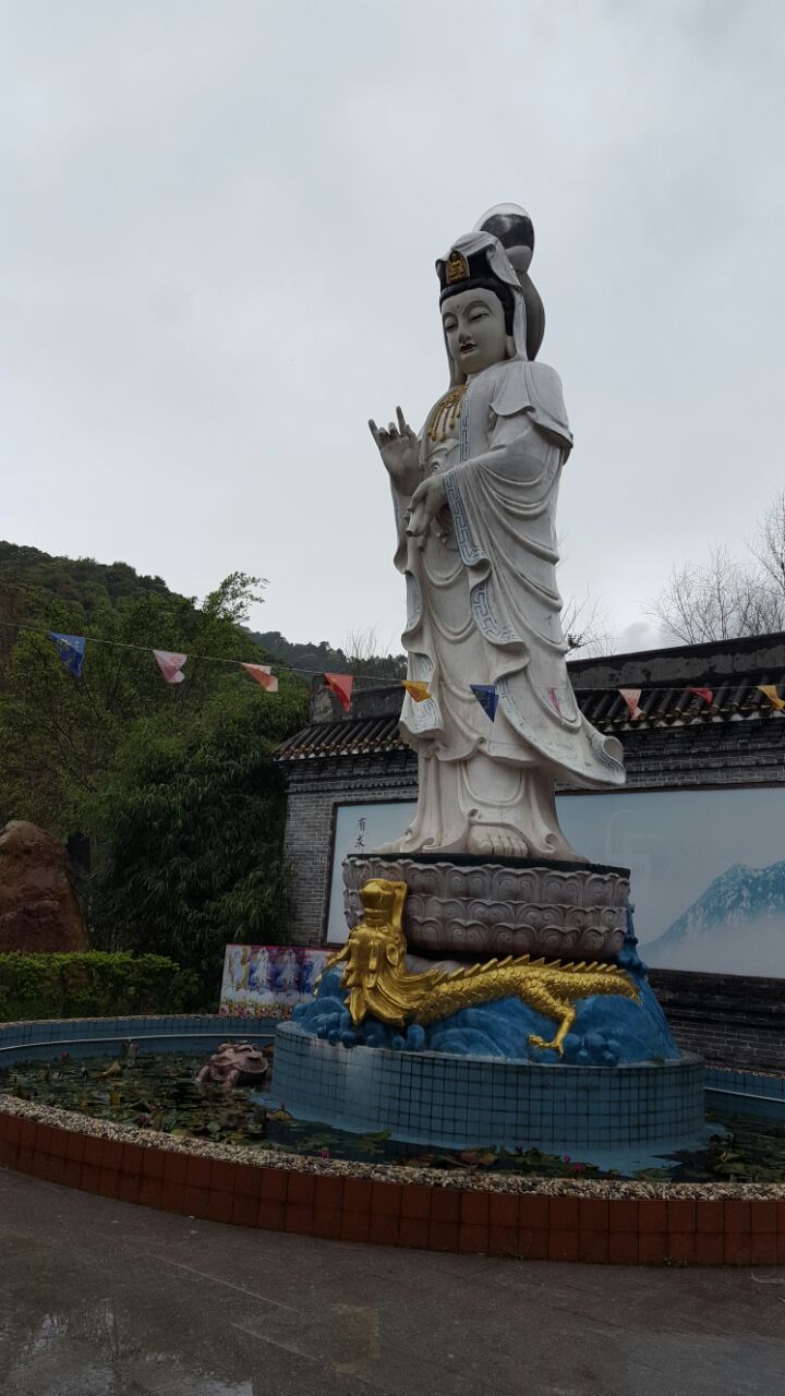 佛冈观音山王山寺简介图片