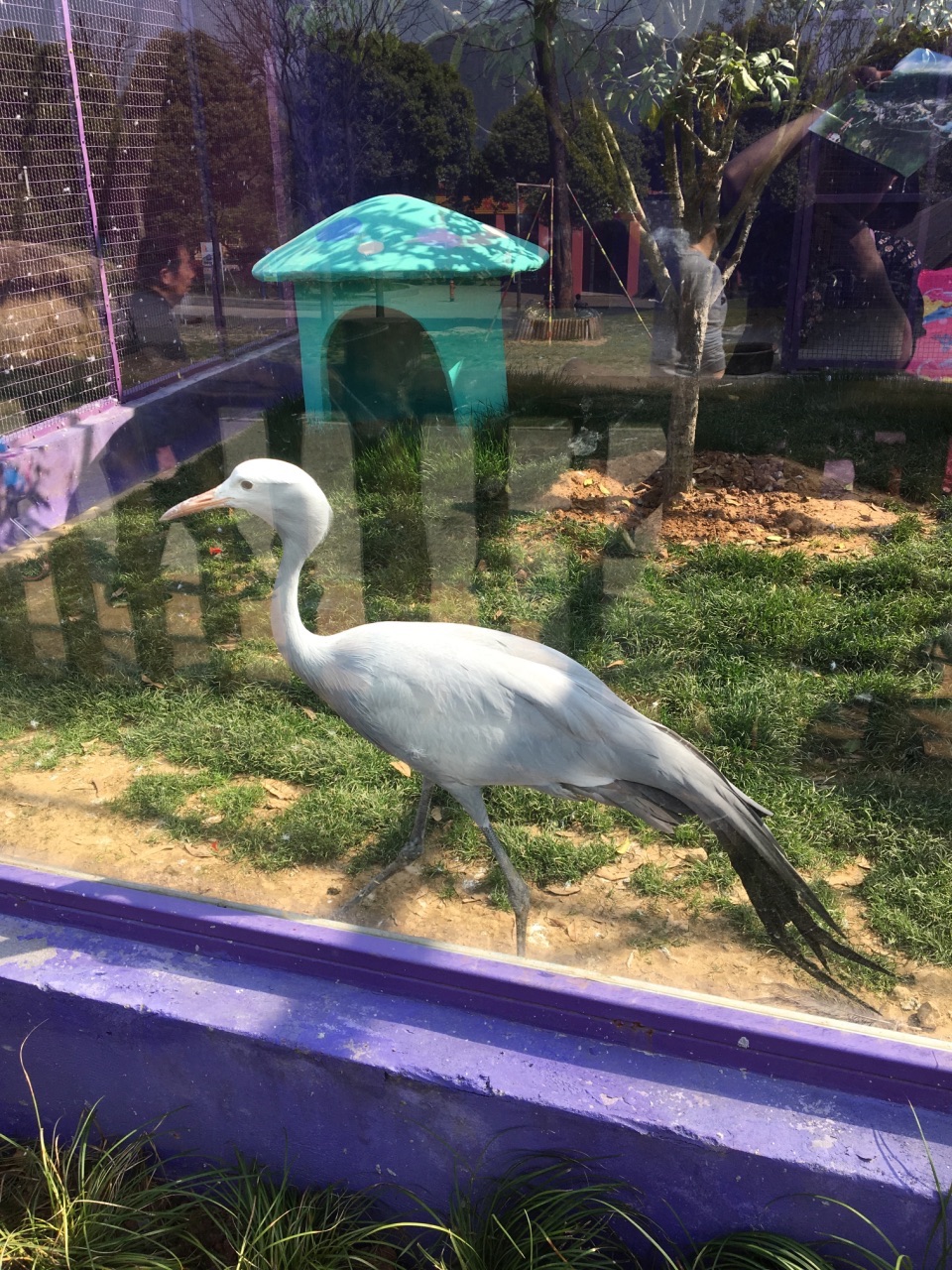 无锡动物园(太湖欢乐园)