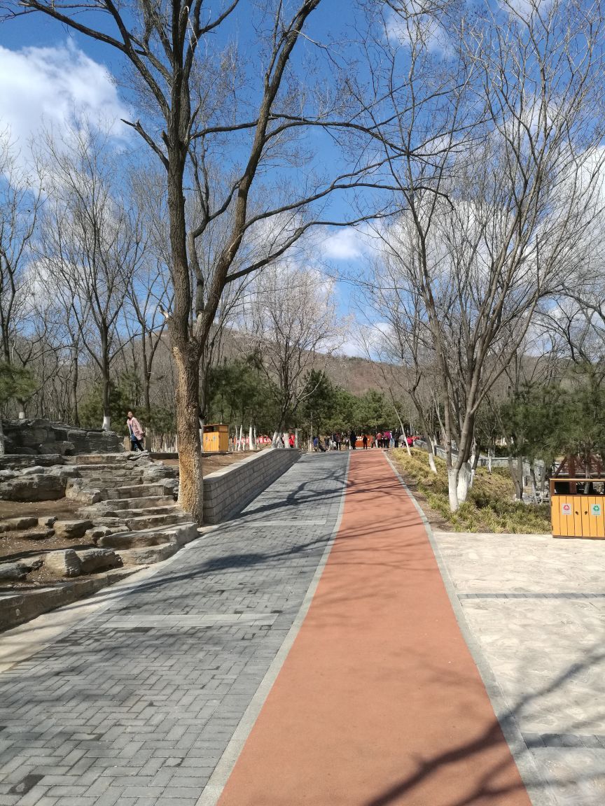 北京北宮國家森林公園好玩嗎,北京北宮國家森林公園景點怎麼樣_點評