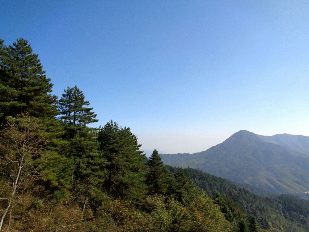 九岭山国家森林公园图片