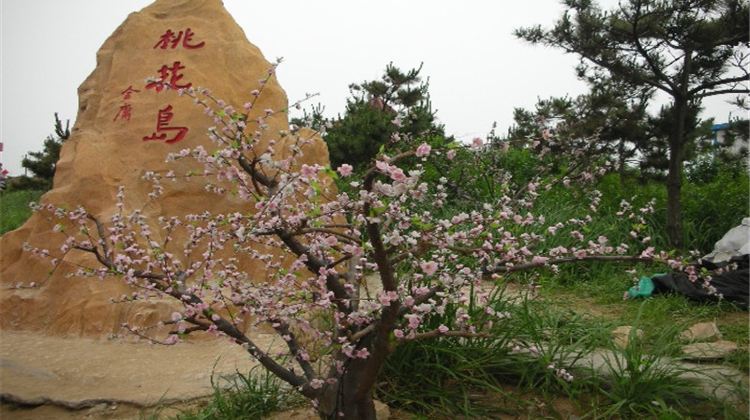 日照桃花島風情園攻略-桃花島風情園門票價格多少錢-團購票價預定優惠