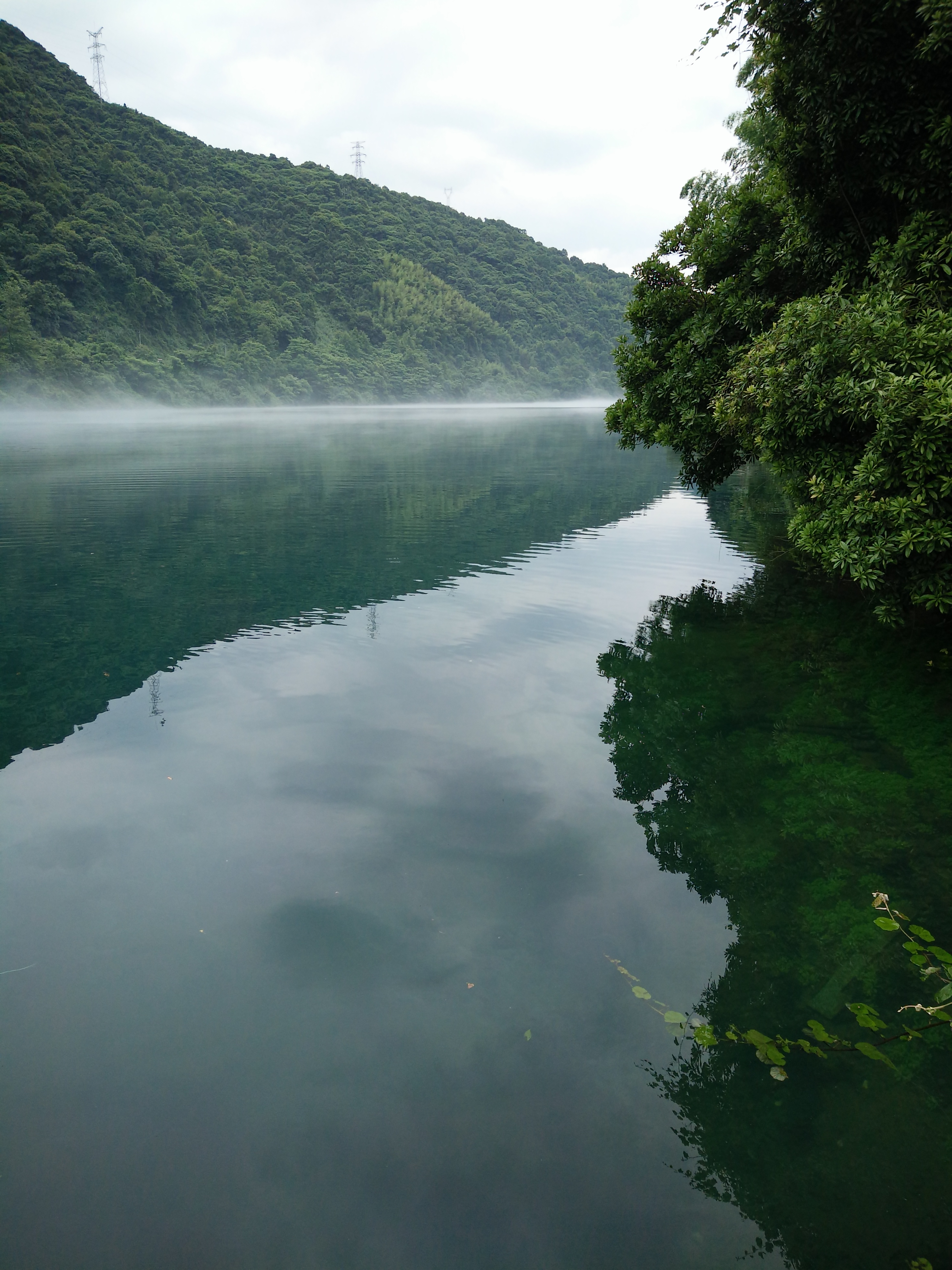 東江湖旅遊,觀霧觀水觀花.