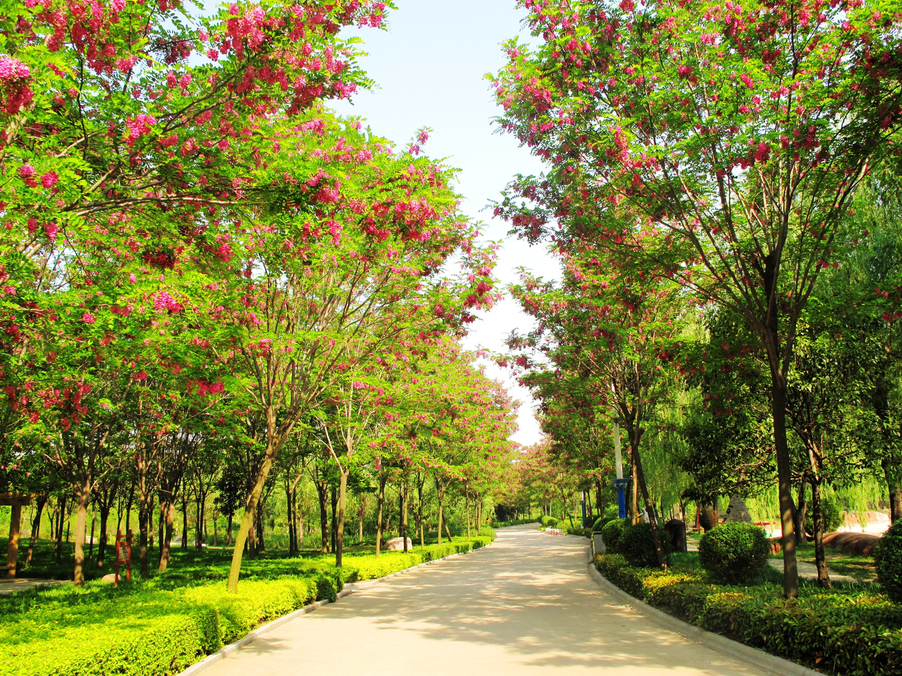 鄢陵国家花木博览园