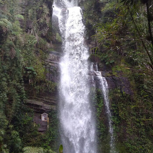波哥大游记图文-哥伦比亚所不为人知，美不胜收的瀑布