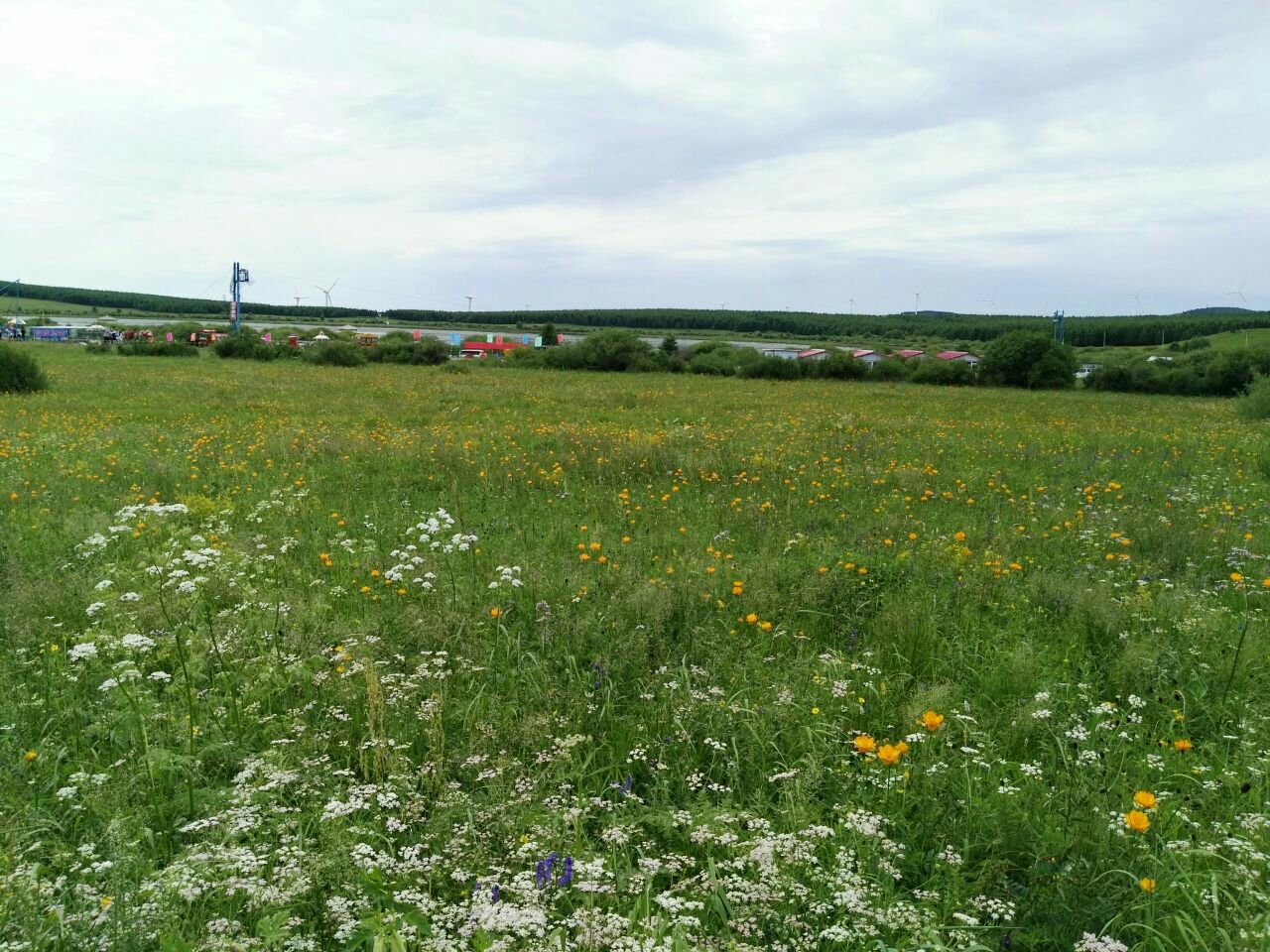 塞罕坝月亮湖好玩吗,塞罕坝月亮湖景点怎么样_点评_评价【携程攻略】