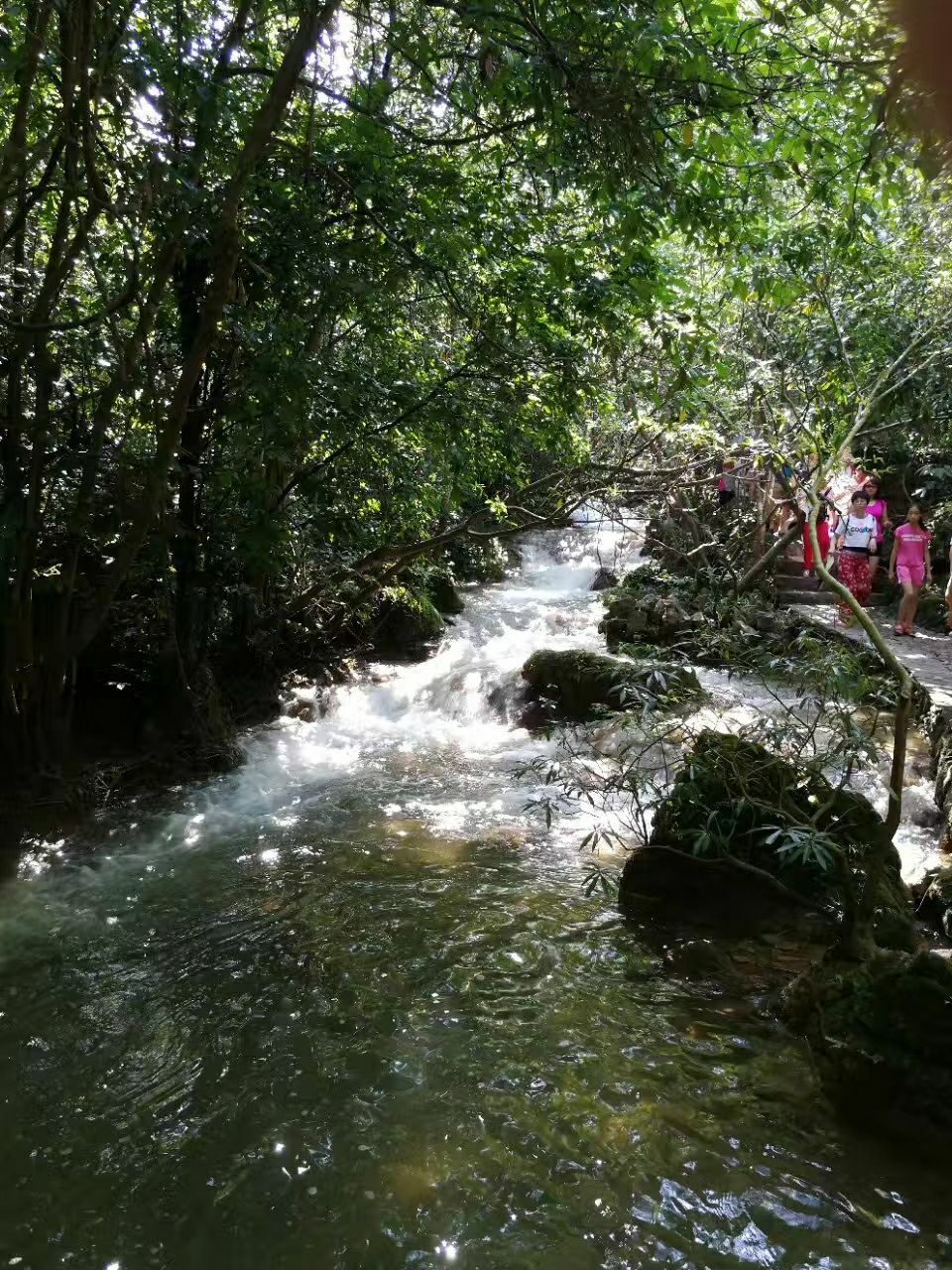 【携程攻略】黔南水上森林景点,水上森林是荔波小七孔景区的一个著名