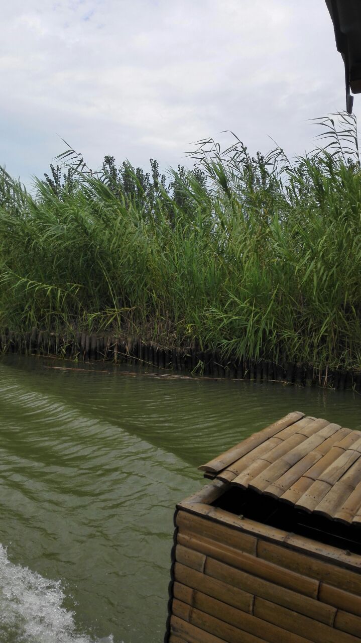 泗洪洪泽湖湿地