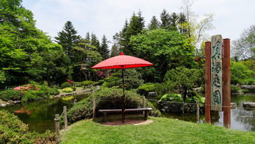 【十胜川出发星野度假村新千岁机场】带广十胜