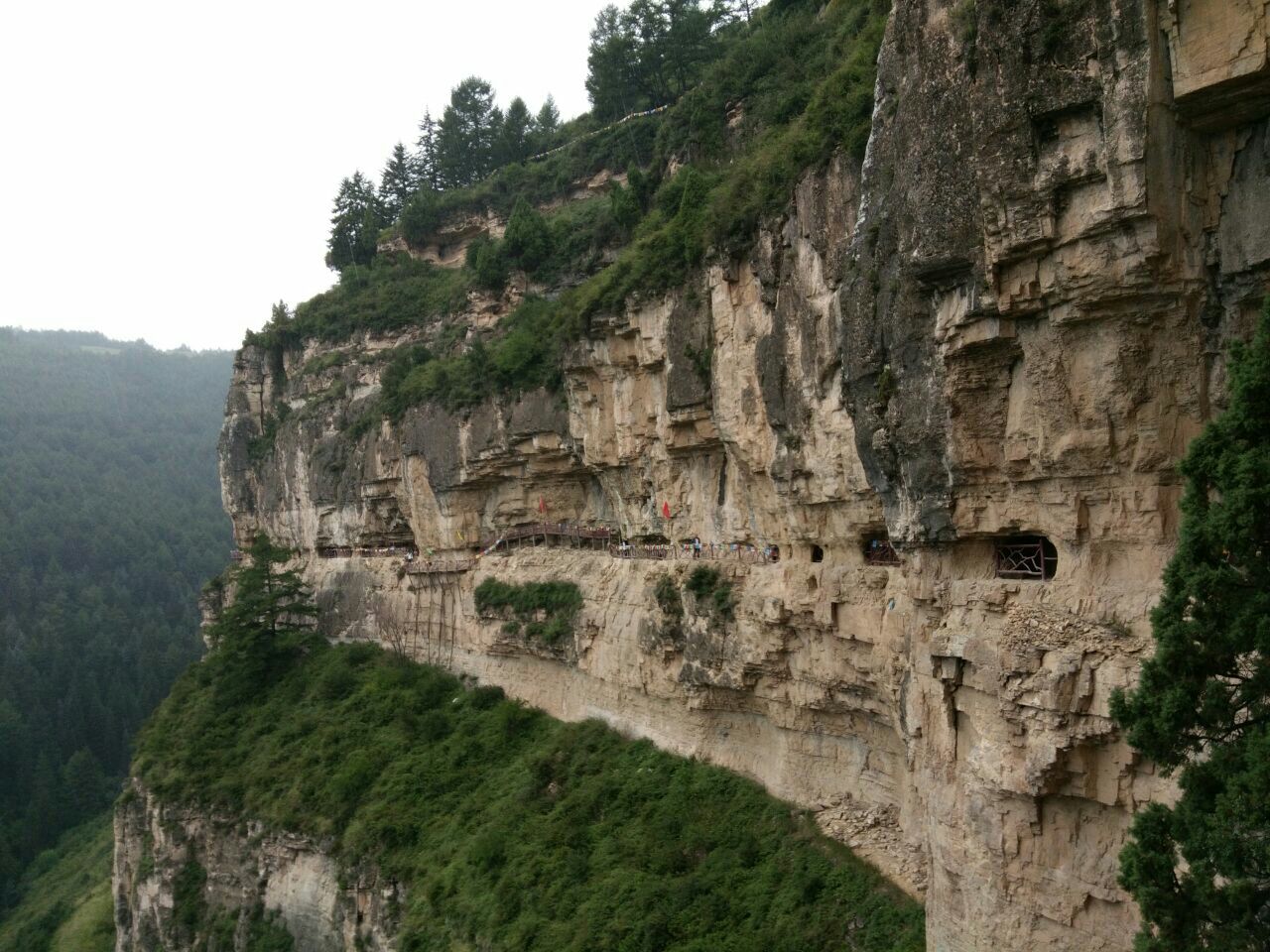 2019蘆芽山_旅遊攻略_門票_地址_遊記點評,寧武旅遊景點推薦 - 去哪兒