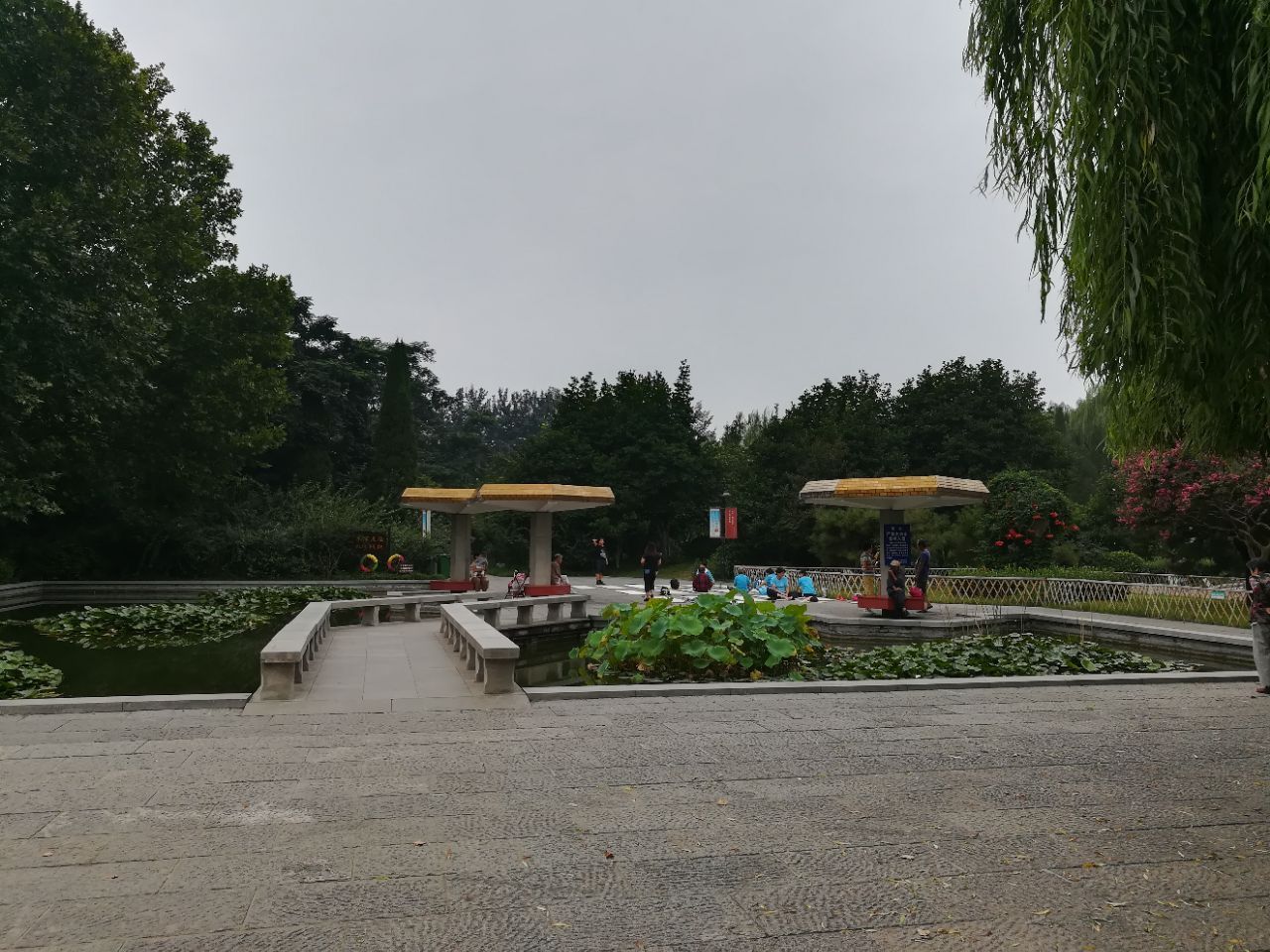 济宁市百花公园图片