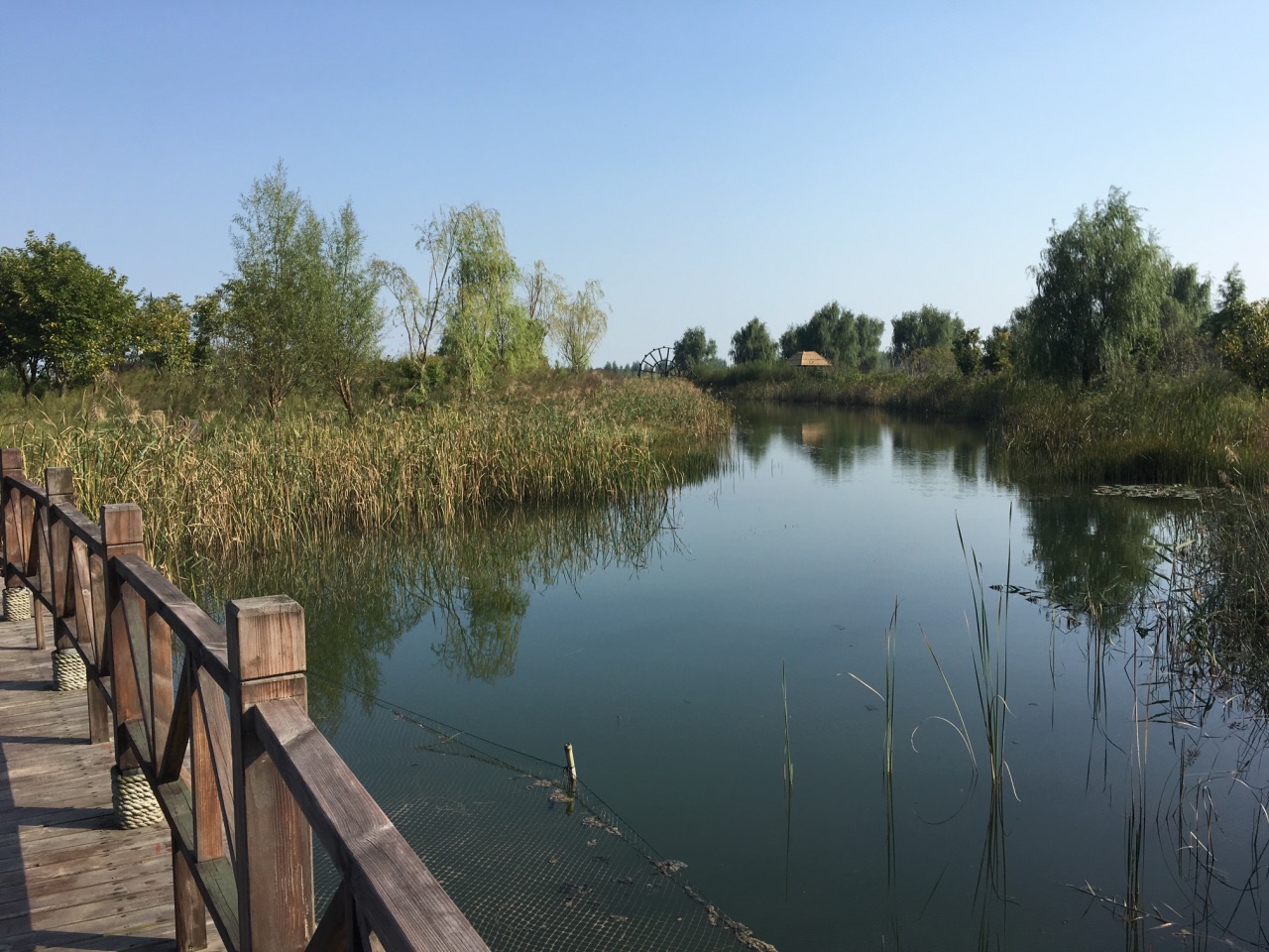 泗洪泗洪洪澤湖溼地好玩嗎,泗洪泗洪洪澤湖溼地景點怎麼樣_點評_評價