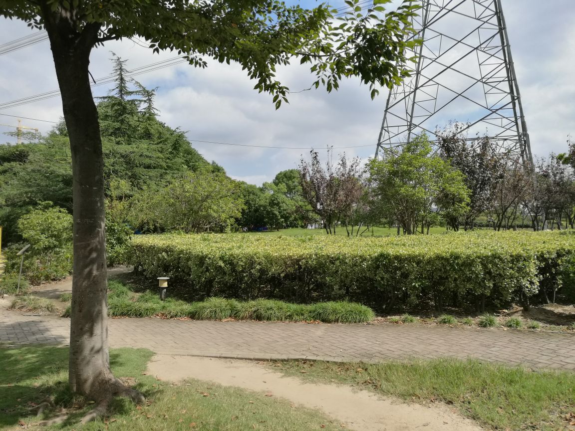 上海周浦公園攻略,上海周浦公園門票/遊玩攻略/地址/圖片/門票價格