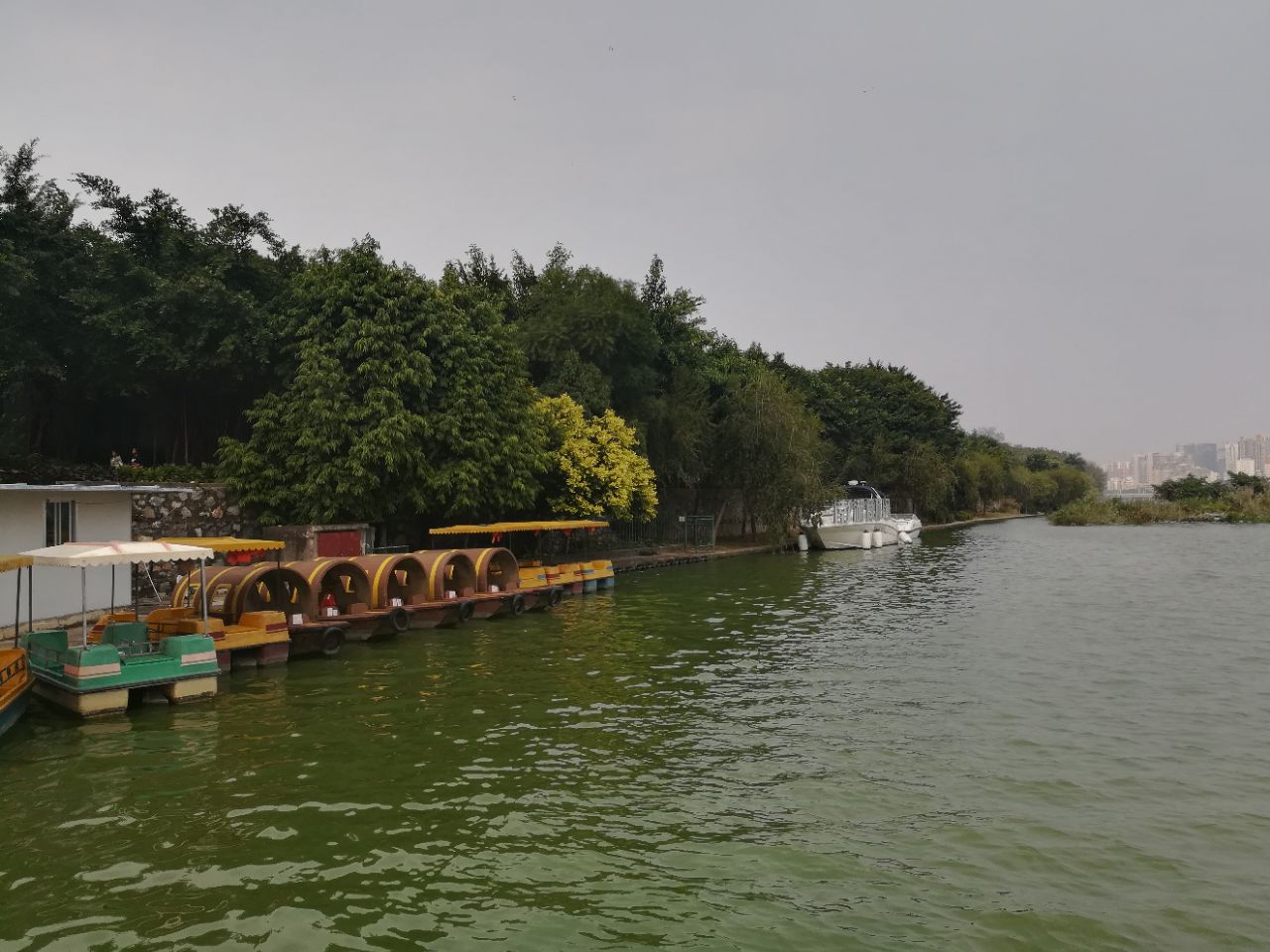 2019南湖公園_旅遊攻略_門票_地址_遊記點評,南寧旅遊景點推薦 - 去