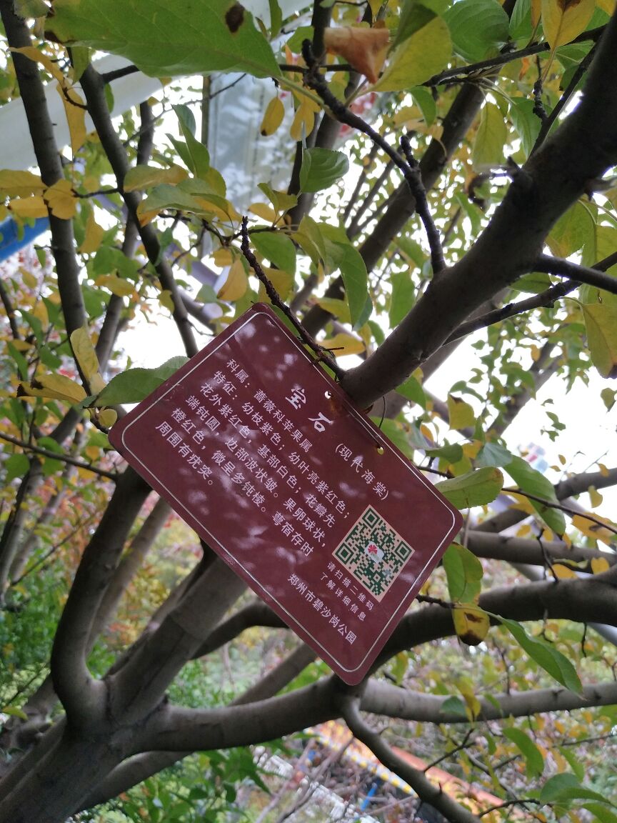 郑州雕塑公园,有名家雕塑作品凭身份证领免费门票可参观,碧沙岗公园