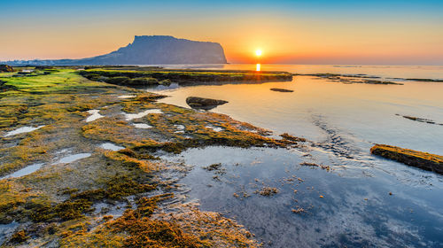 韩国城山日出峰+涉地可支+牛岛包车一日游【云镜海岸 济州风光 中文包车一日游】线路推荐【携程玩乐】