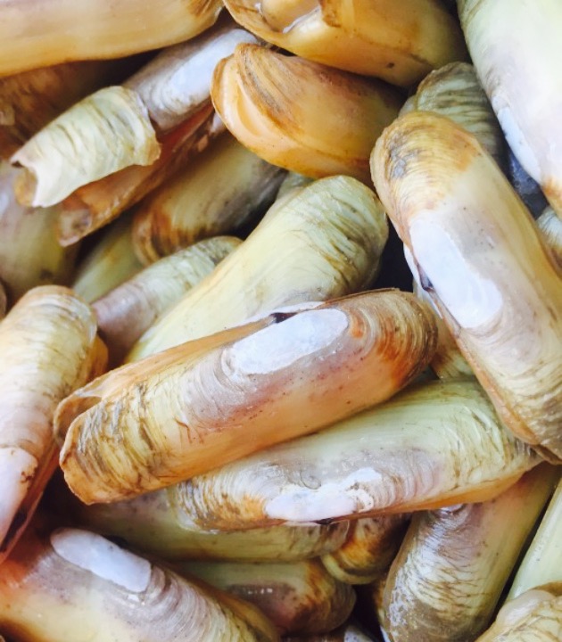 白云山 暂无评分 景点地址 福建省福州市马尾区琅岐镇金砂材白云山路