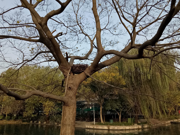 游西西湖娱乐城- 西湖娱乐城官方网站- 西湖娱乐城APP湖全诗作者：宋 张侃 - 我爱查