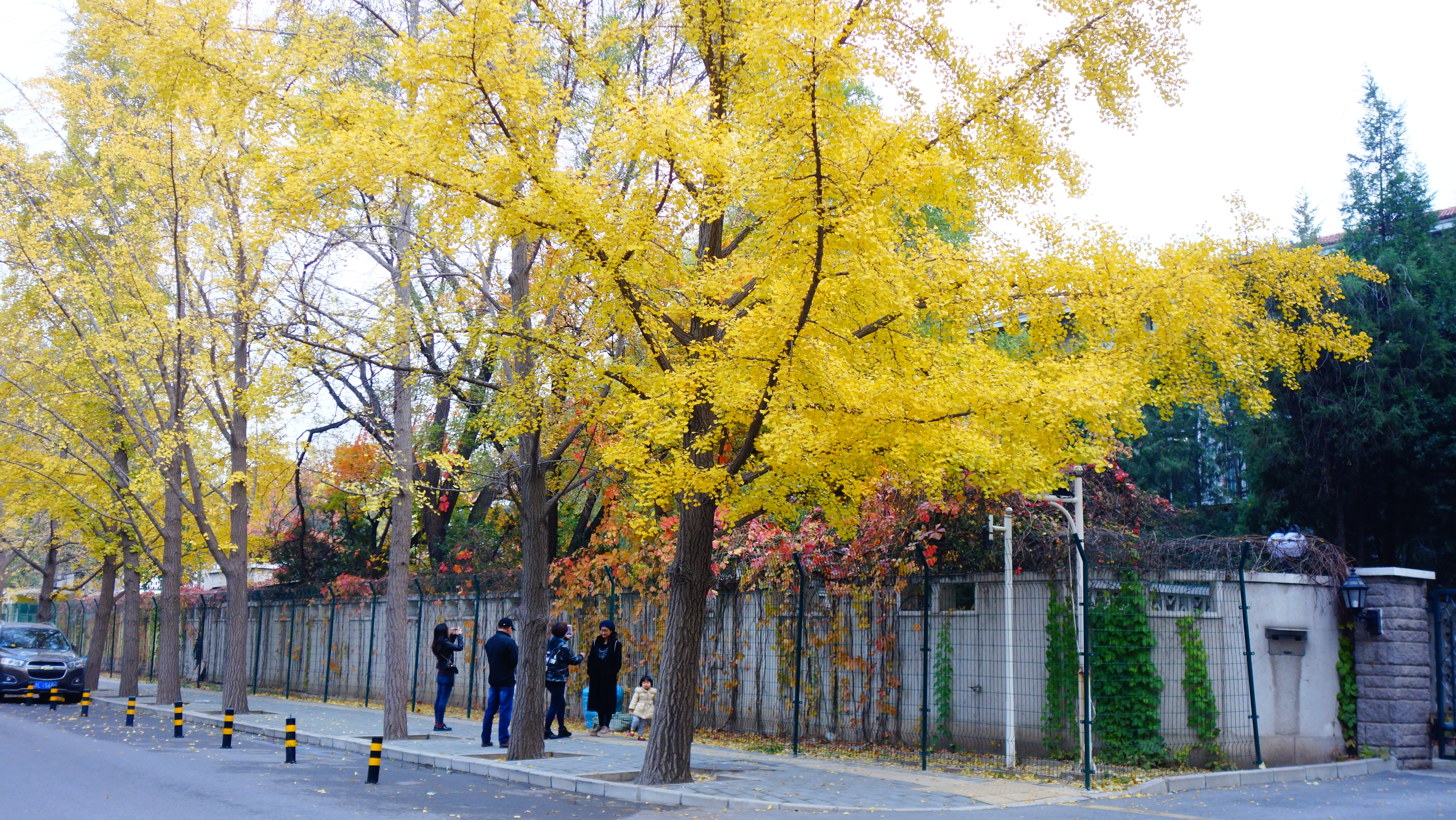 东直门外大街,三里屯路,三里屯东街,三里屯东五街.