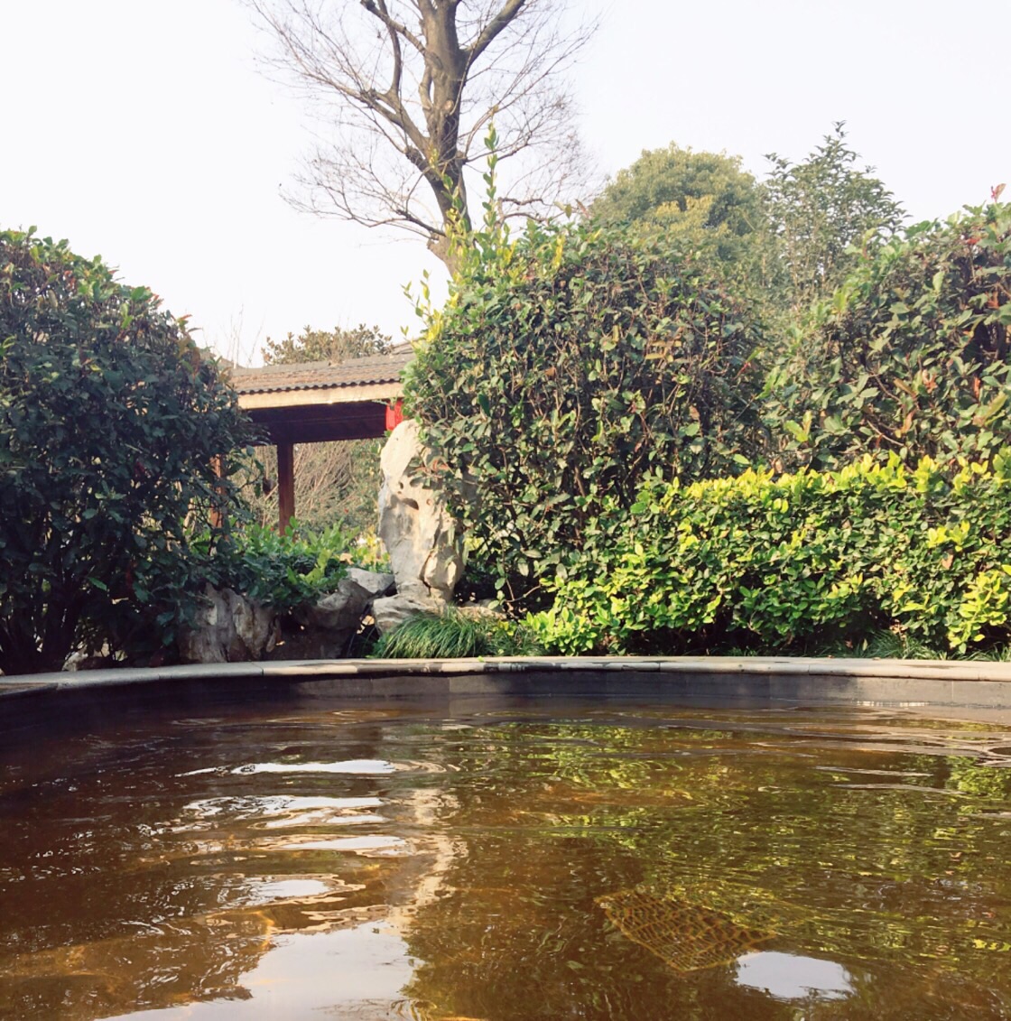 华美达樱花温泉