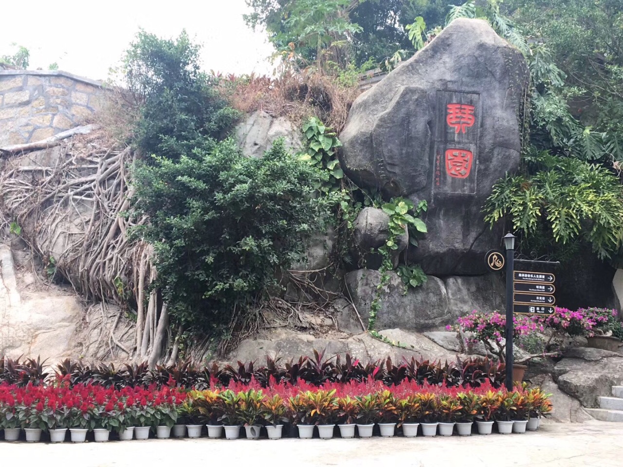 2020琴园游玩攻略,鼓浪屿里面比较静的一个小景. 【去哪儿攻略】