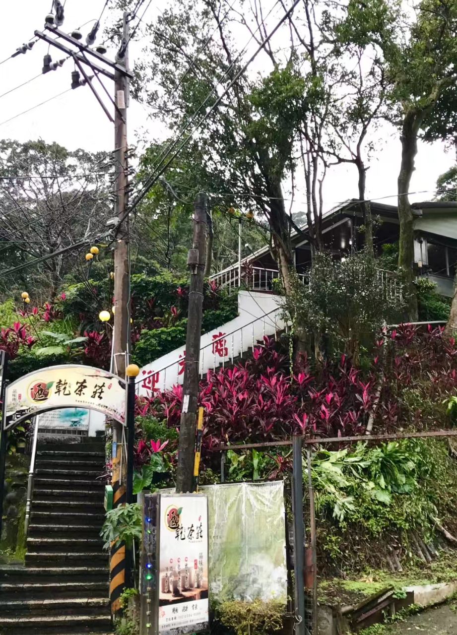 猫空木栅观光茶园在云雾飘渺的猫空山区,沏茶,品茶,是许多台北人心中
