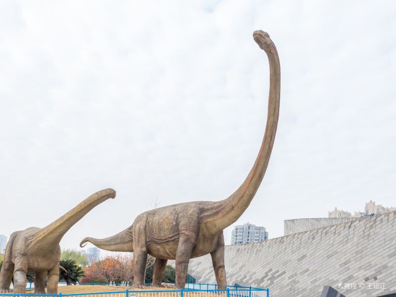 合肥安徽省地质博物馆攻略-安徽省地质博物馆门票价格多少钱-团购票价