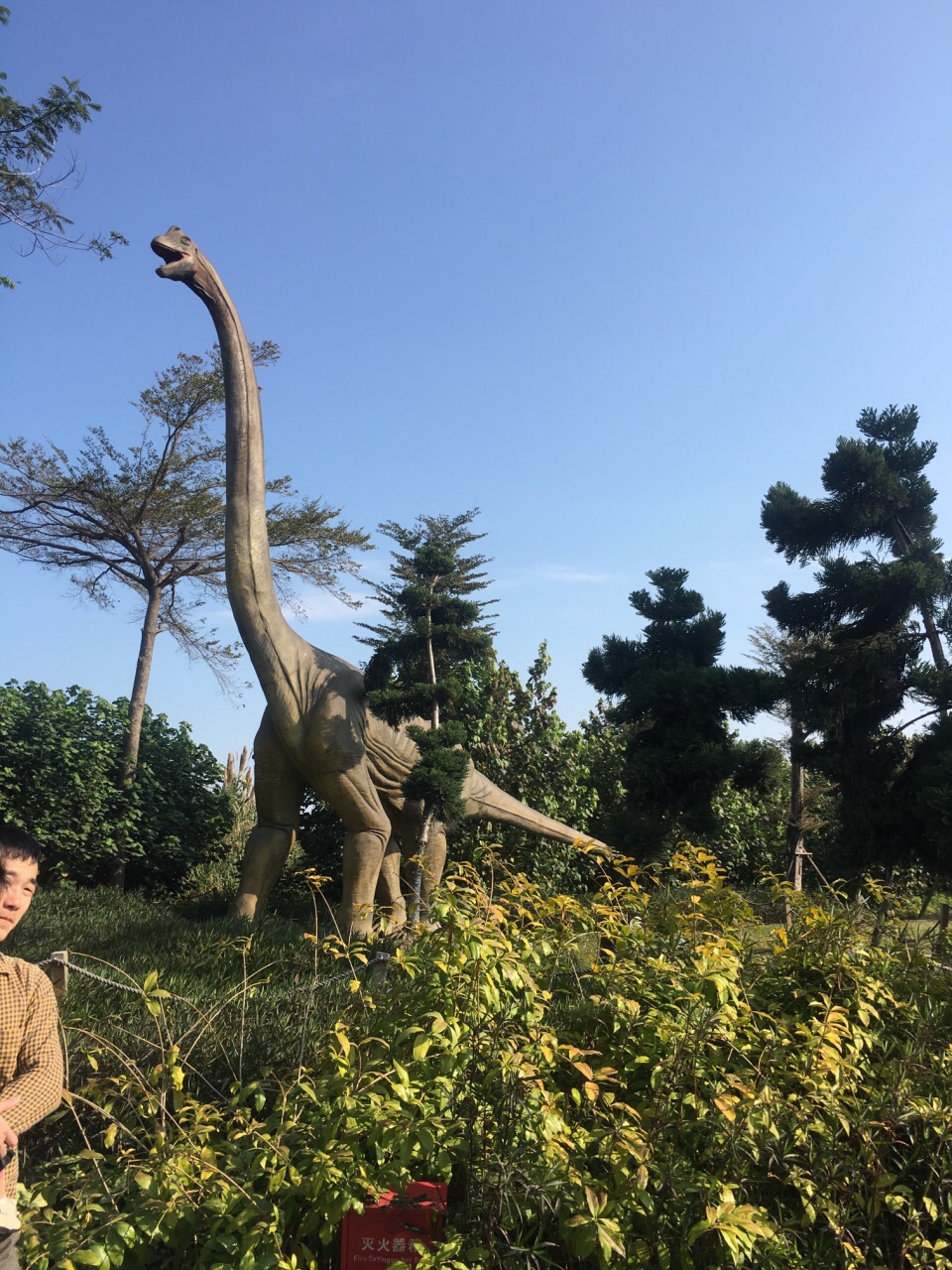 恐龙梦公园