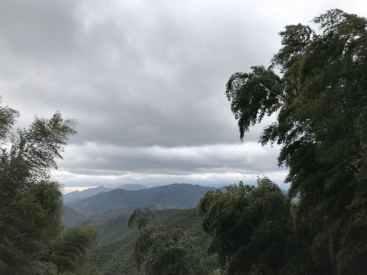 莫干山景區旅遊景點攻略圖