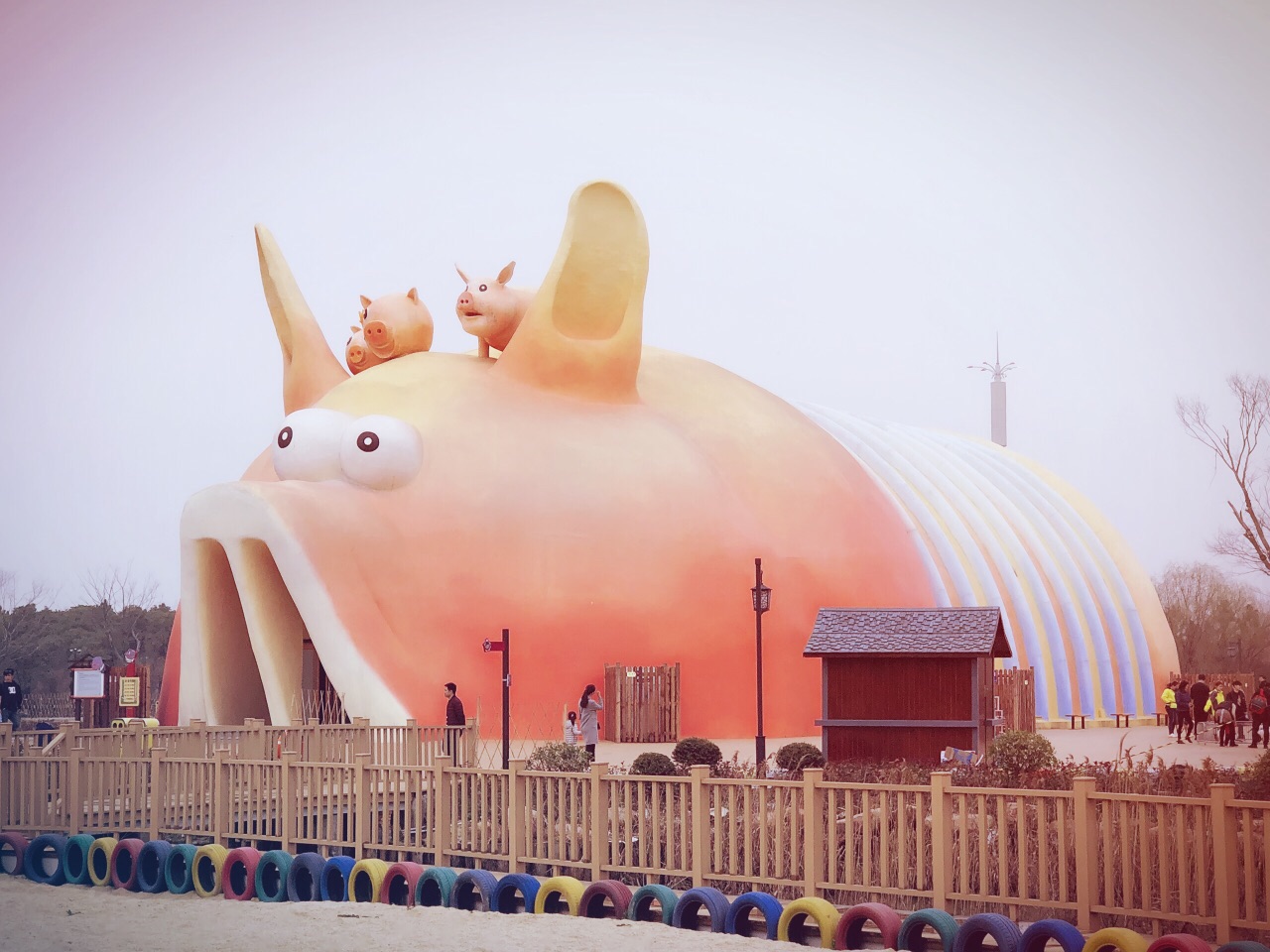 海盐猪猪星球乐园图片