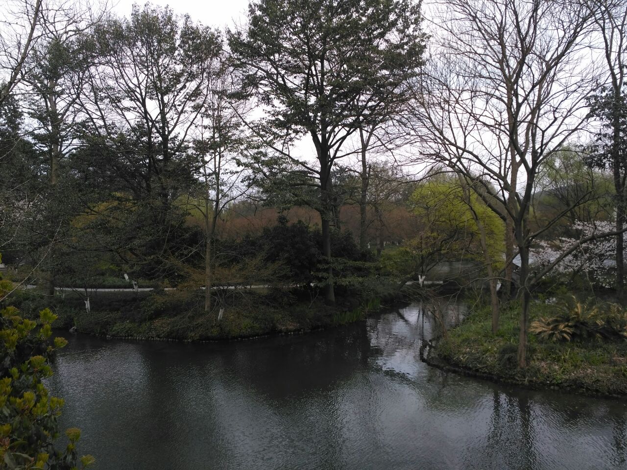 芝山岩健走步道图片