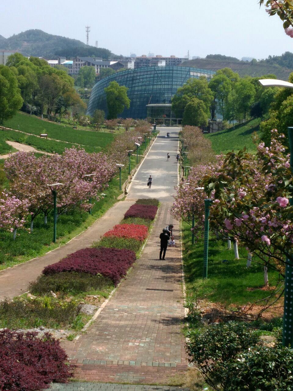 宜春花博园旅游景点攻略图