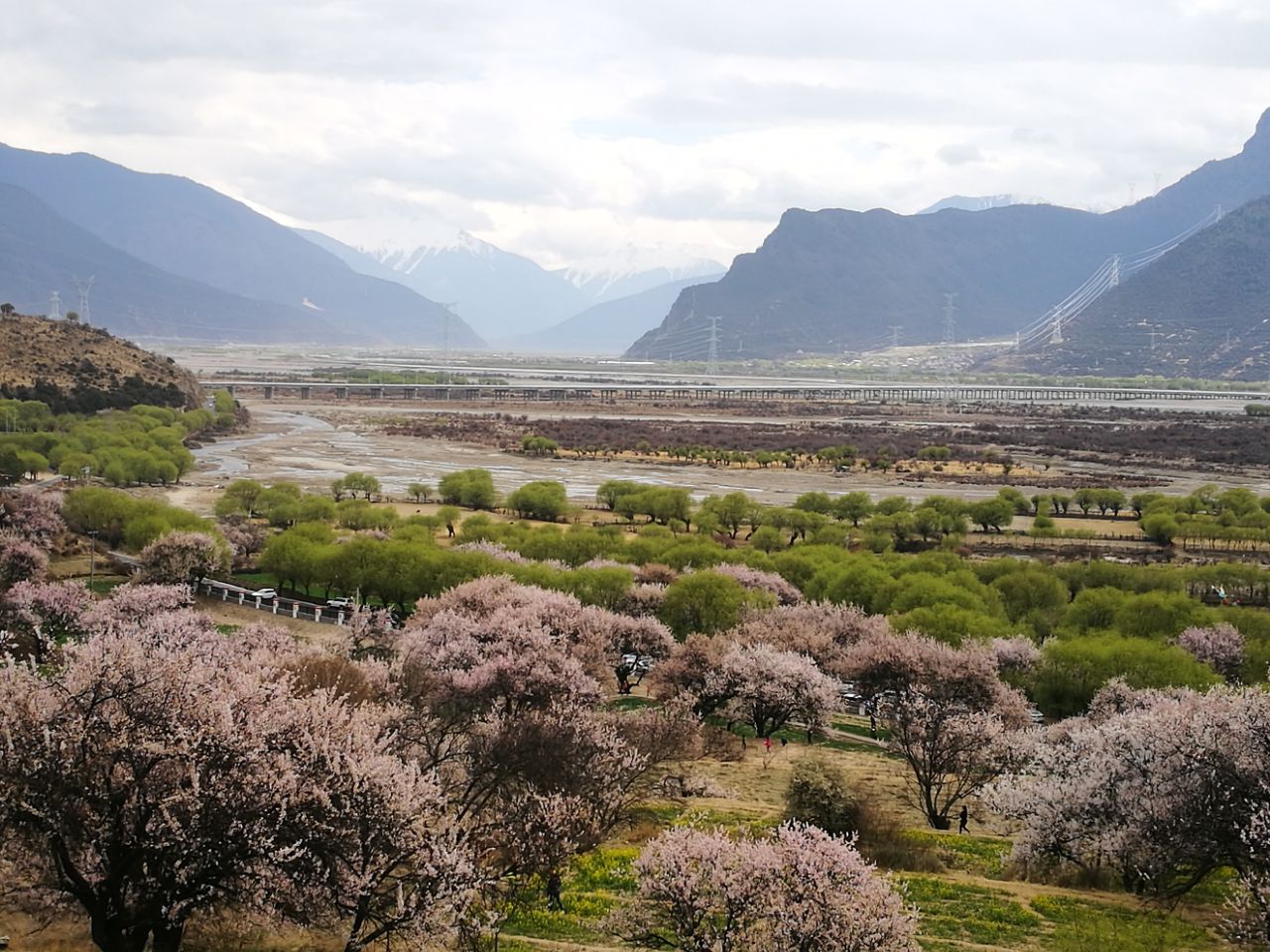 嘎拉桃花村