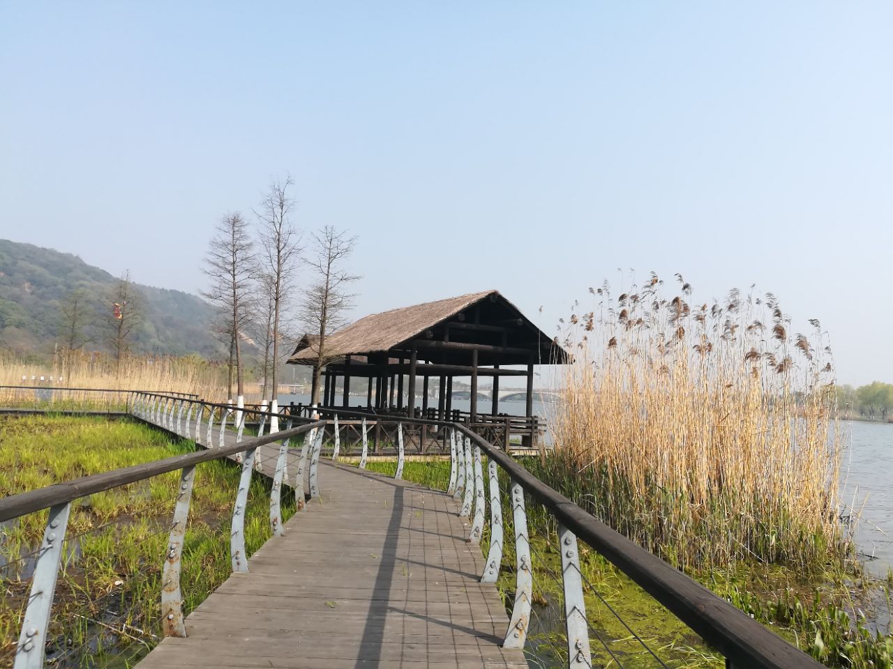 无锡长广溪湿地公园图片