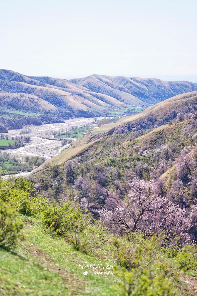 『花样人生,多彩新疆』重谱一篇春日的故事