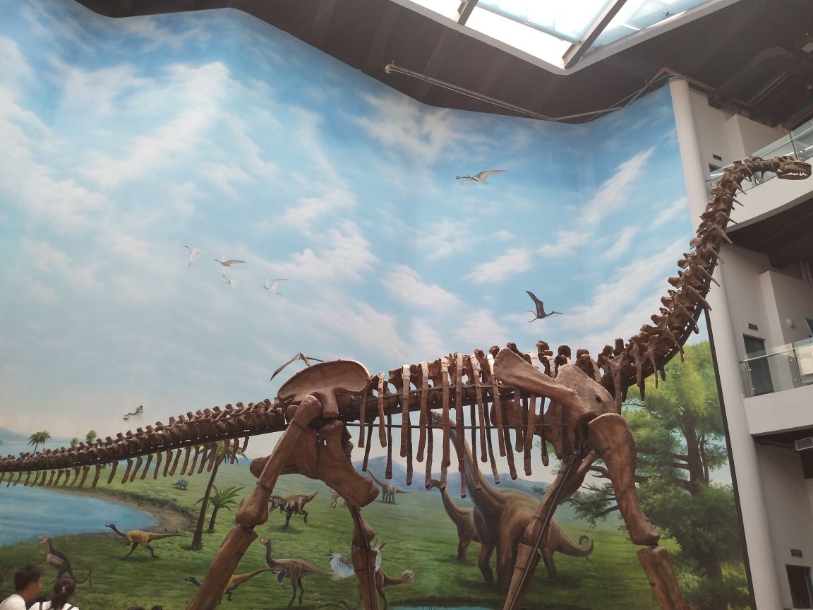 广东恐龙之乡，馆藏恐龙蛋化石数量已超18000枚，居全球之冠|恐龙博物馆|恐龙蛋|化石_新浪新闻