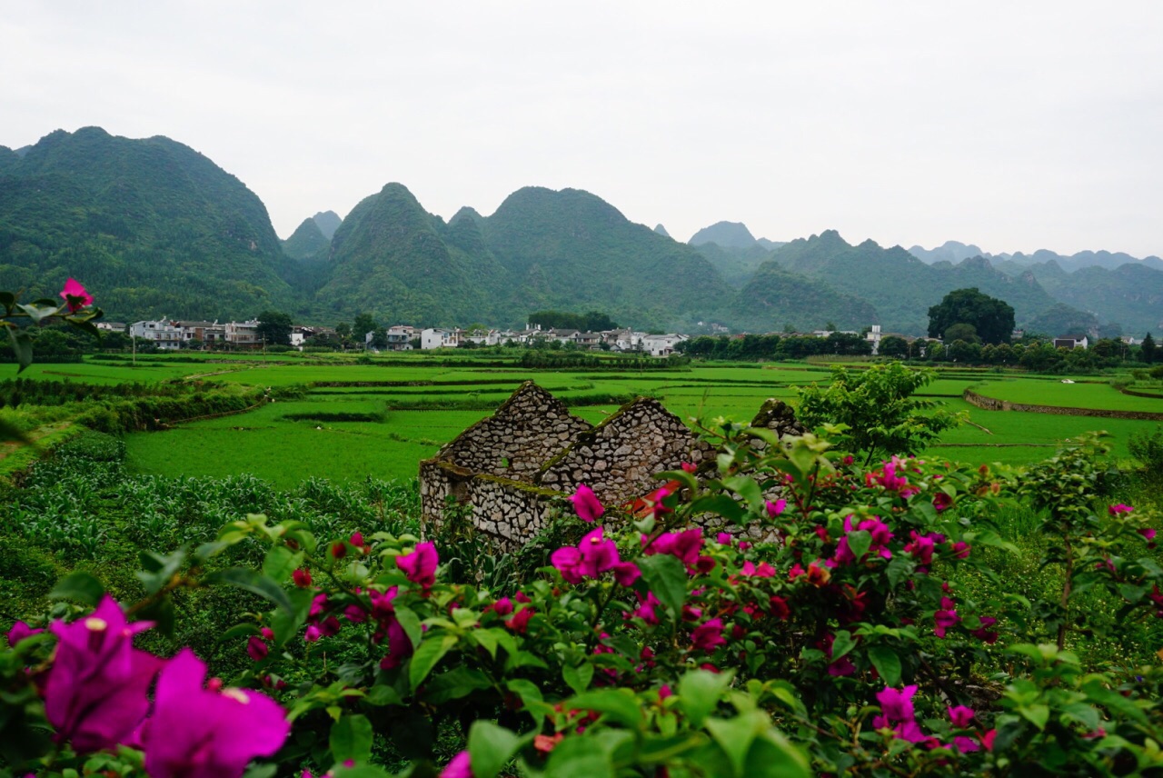 2019万峰林_旅游攻略_门票_地址_游记点评,兴义旅游