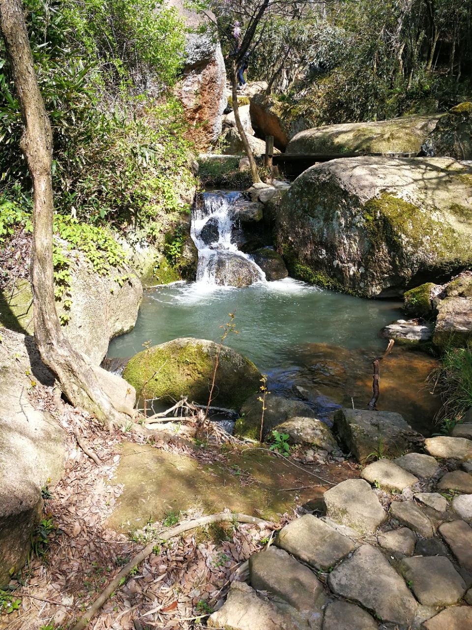 慈溪五磊山景區旅遊景點攻略圖