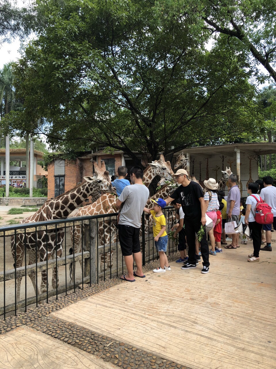 廣州動物園旅遊景點攻略圖