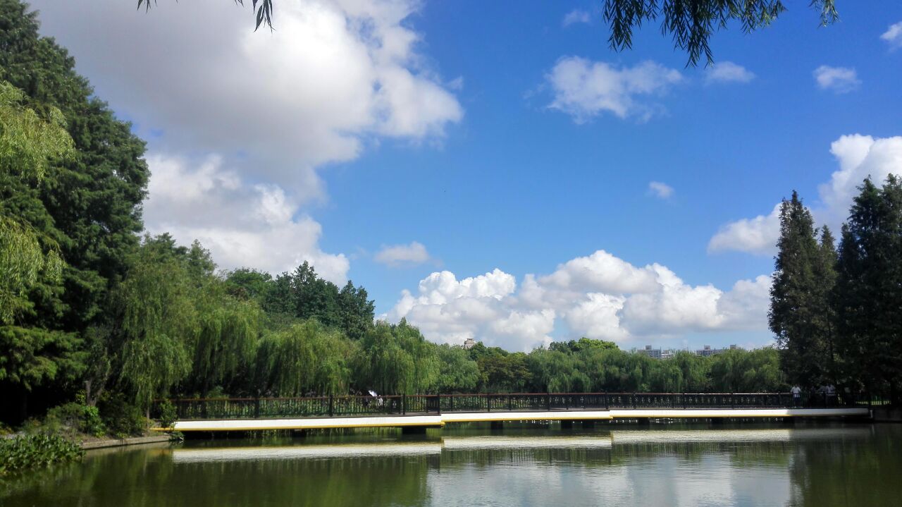 2023黄兴绿地游玩攻略,这里风景很好,拍照很不错.【去哪儿攻略】