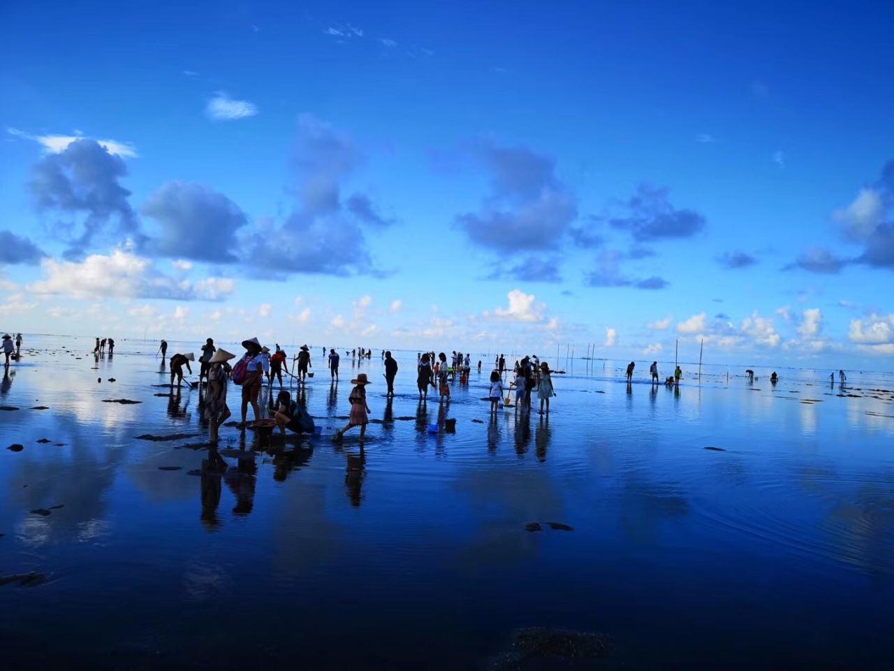 红树林天天赶海
