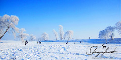 [中国游记图片] 哈尔滨雪乡《攻略》——水墨画卷