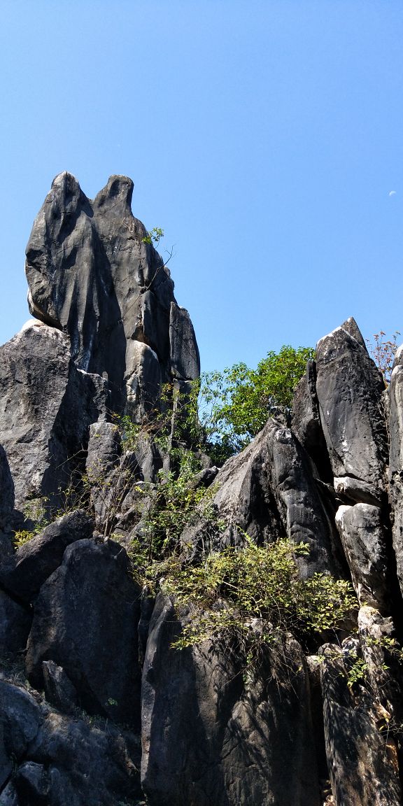 賀州玉石林風景區好玩嗎,賀州玉石林風景區景點怎麼樣_點評_評價