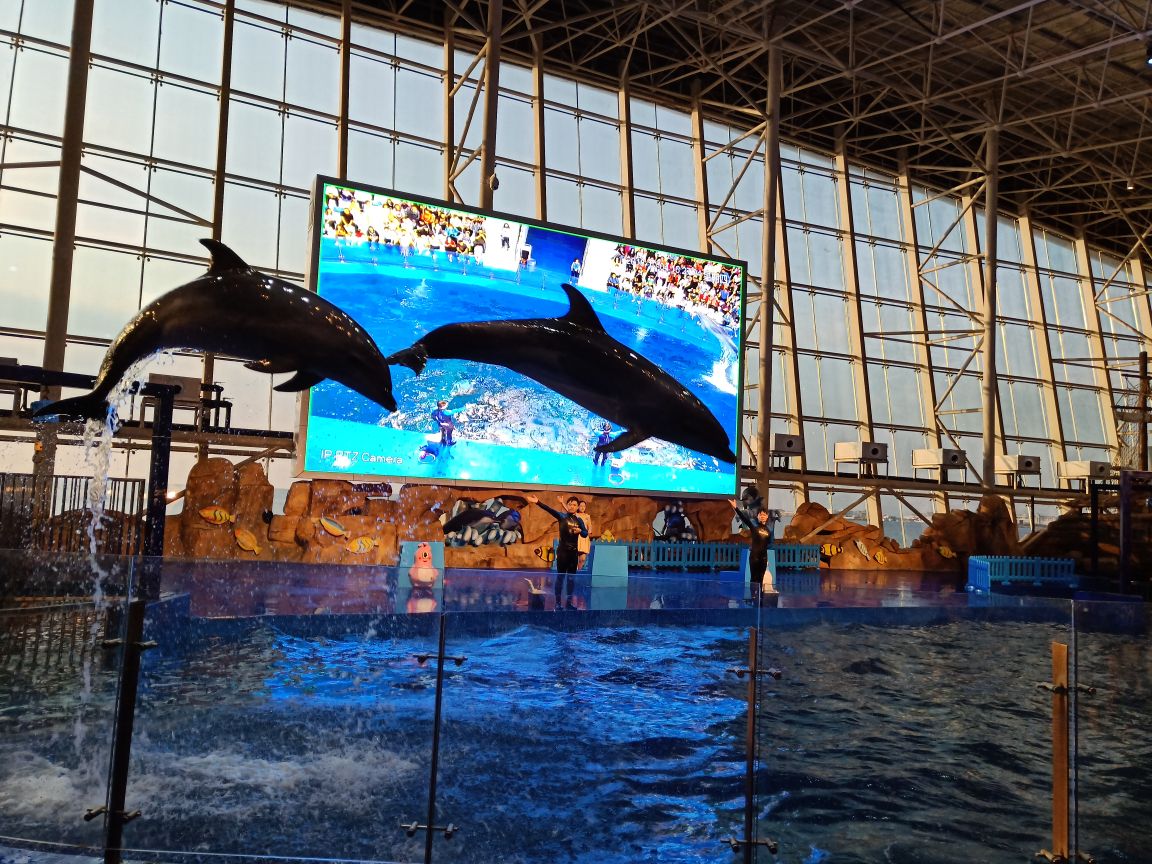 【携程攻略】威海威高海洋公园景点,家附近的海洋公园,威高海洋馆真的