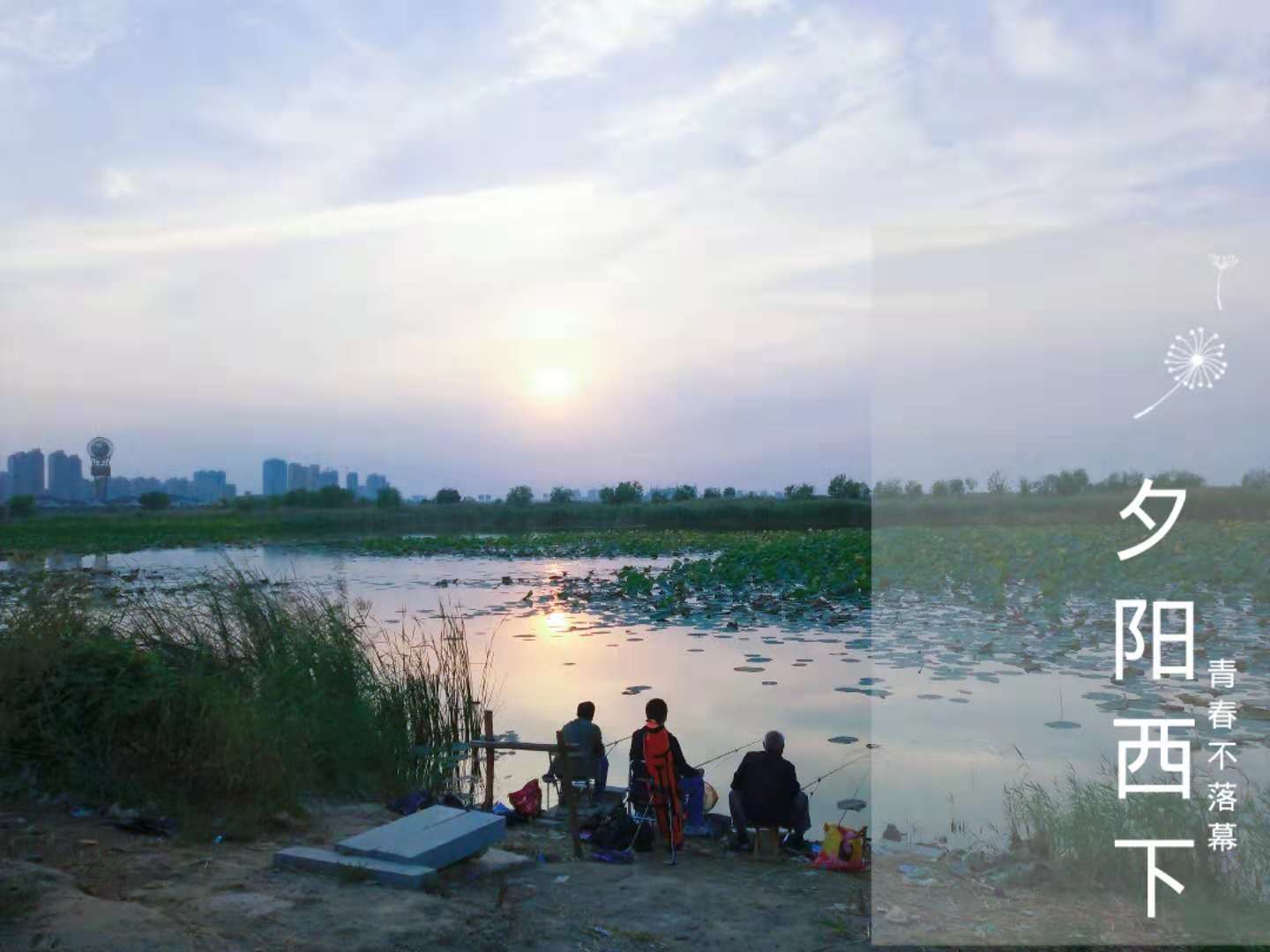 vlog今日河北 · 新地标——衡水 - 封面新闻