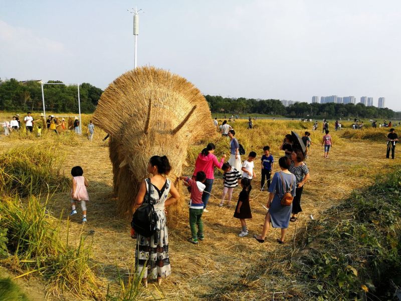 兰里公园图片